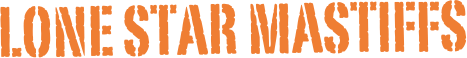 Lone Star mastiffs